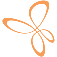 Community Link Capital Region logo