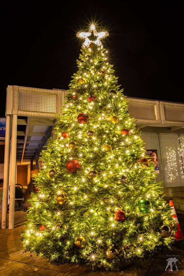 Holiday Tree Celebration