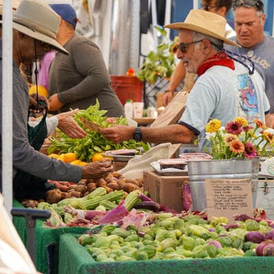 Downtown Farmers Market - Saturdays