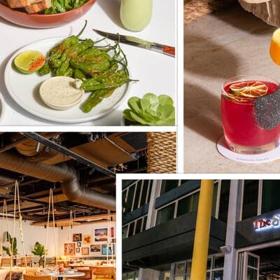 Live Music Fridays At The Surfing Fox