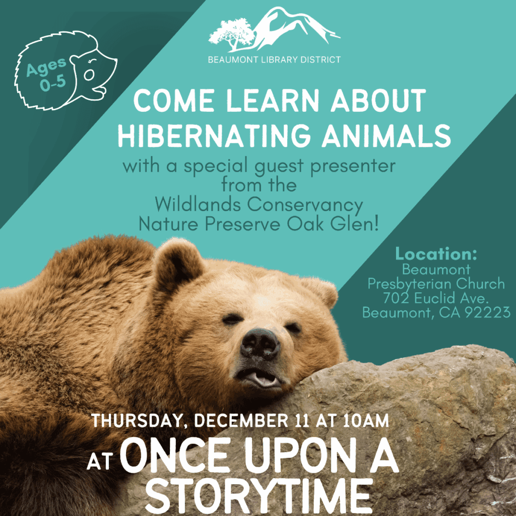 Once Upon a Story Time – Hibernating Animals