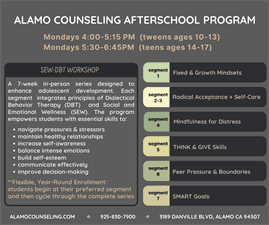 SEW-DBT Workshops for Teens & Tweens