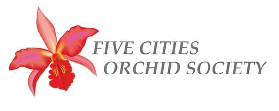 Five Cities Orchid Society meeting