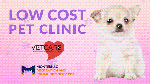 Low Cost Pet Clinic