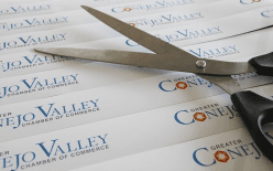 Ribbon Cutting Ceremony - Agoura Power of Yoga