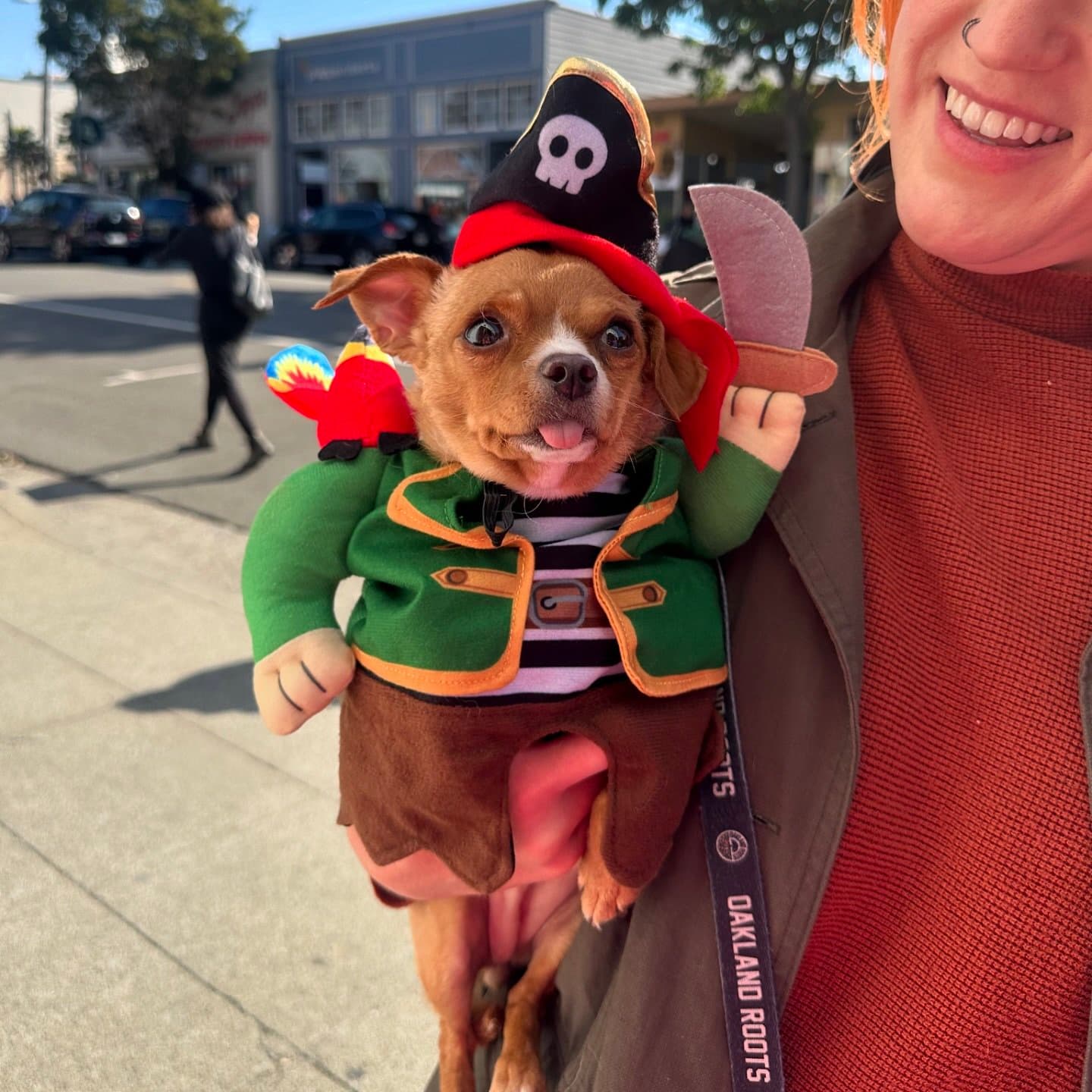 ๐ถ๐น๐ฑ @petfoodexpress Calling all pets and their humans!