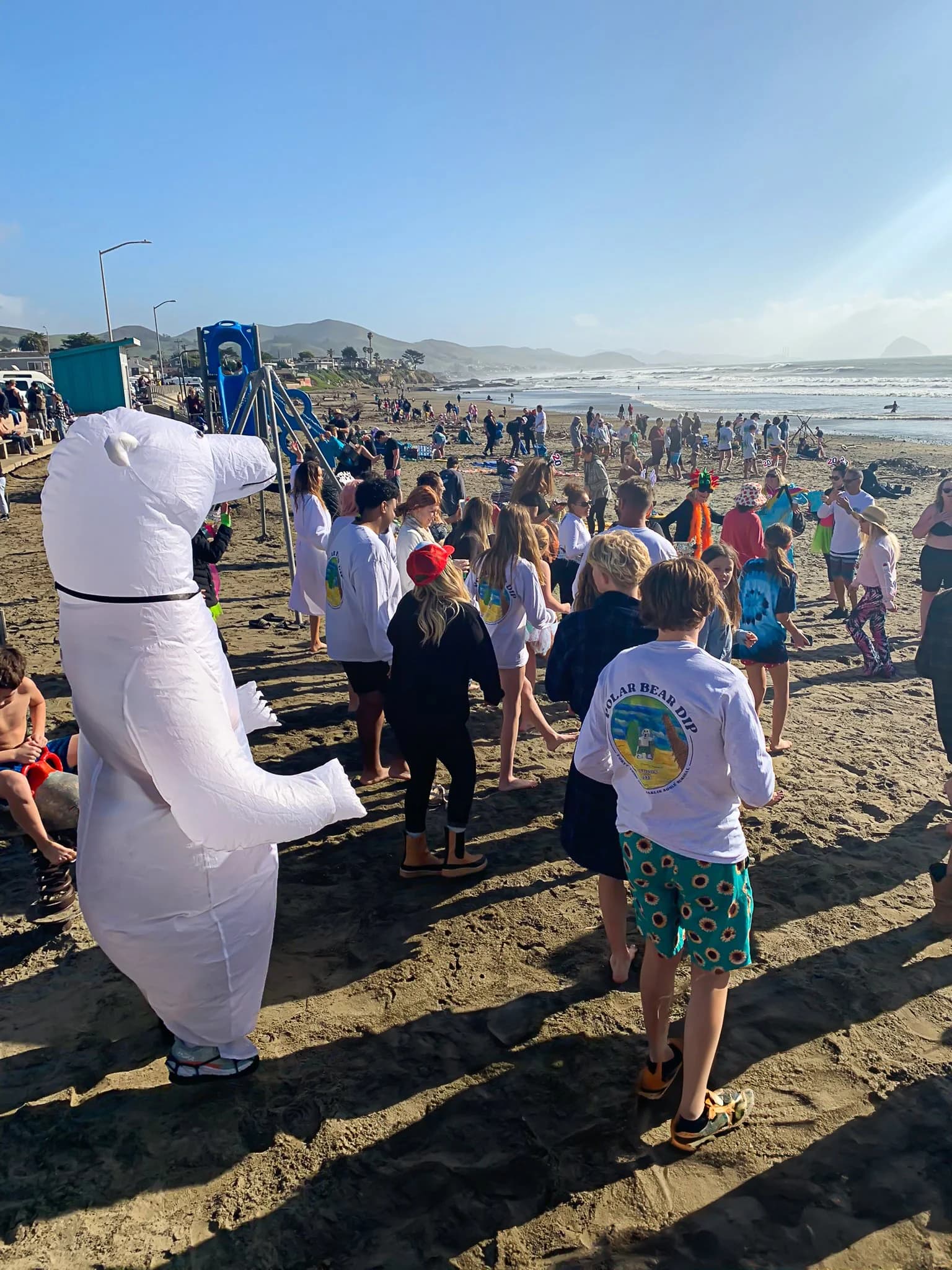 Annual Carlin Soulé Memorial Polar Bear Dip