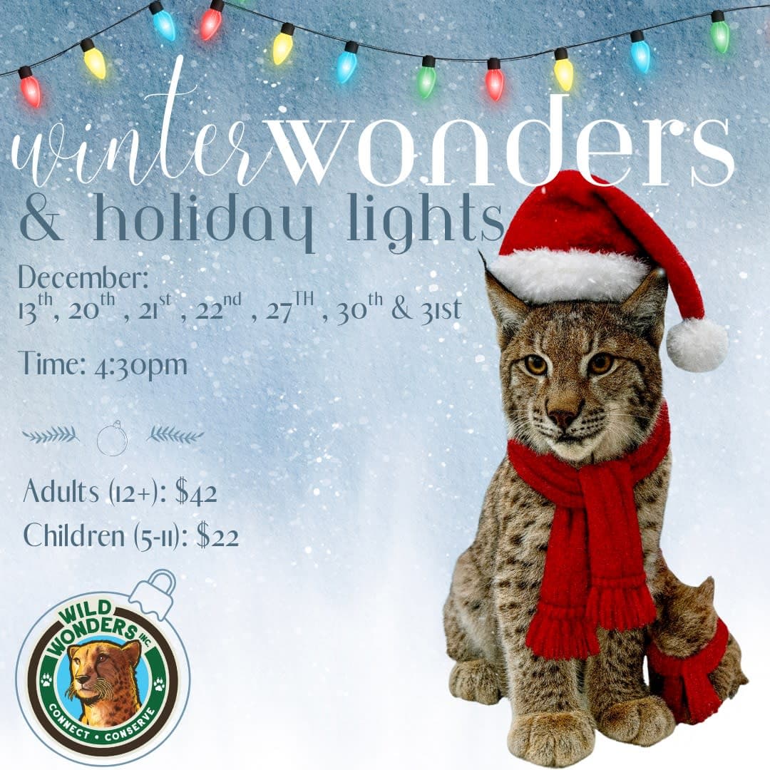 Winter Wonders & Holiday Lights at Wild Wonders