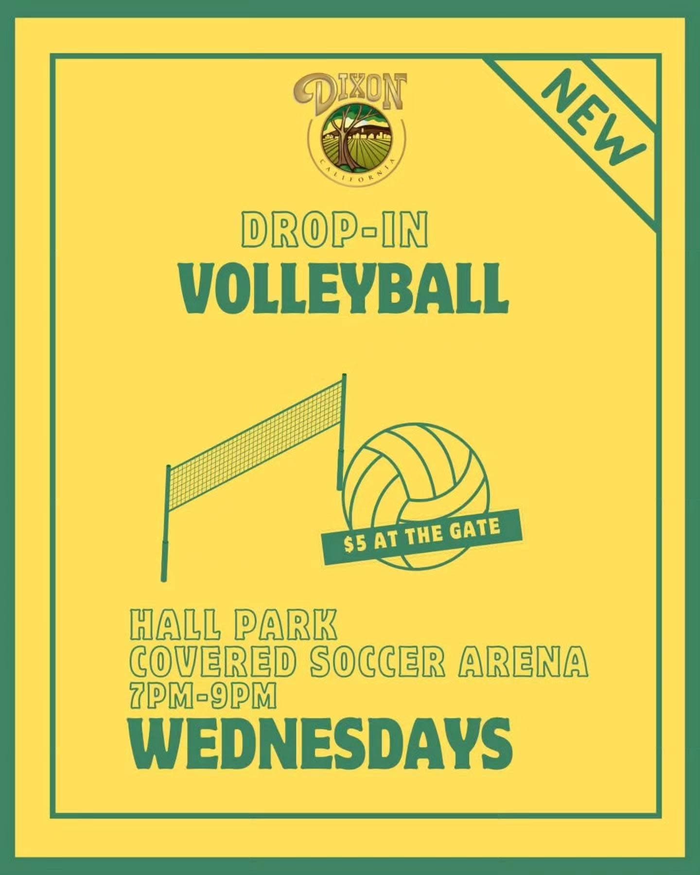 Drop-in Volleyball