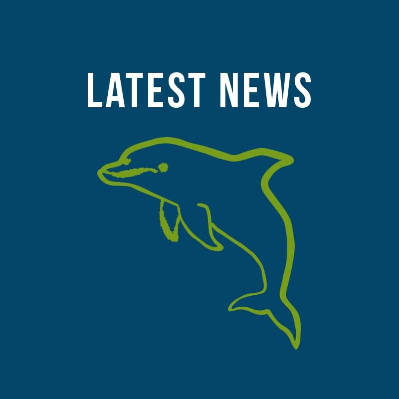 Santa Barbara Symphony- Romantic Hollywood